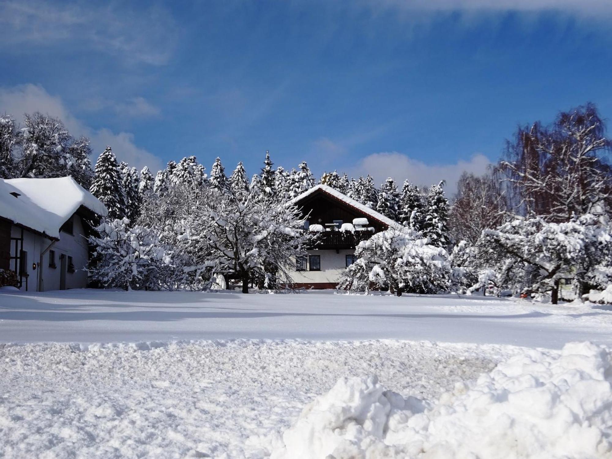 Holiday Home In Lossburg Near The Ski Area Εξωτερικό φωτογραφία